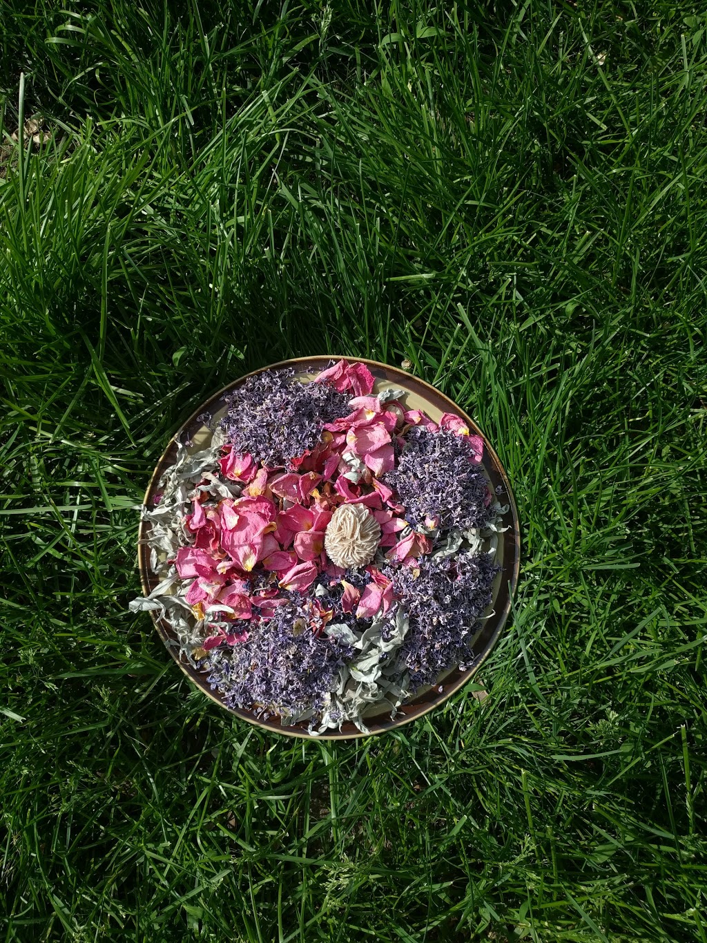 Desert Rose Reiki | 634 Papineau St, Penticton, BC V2A 4X7, Canada | Phone: (250) 328-8968