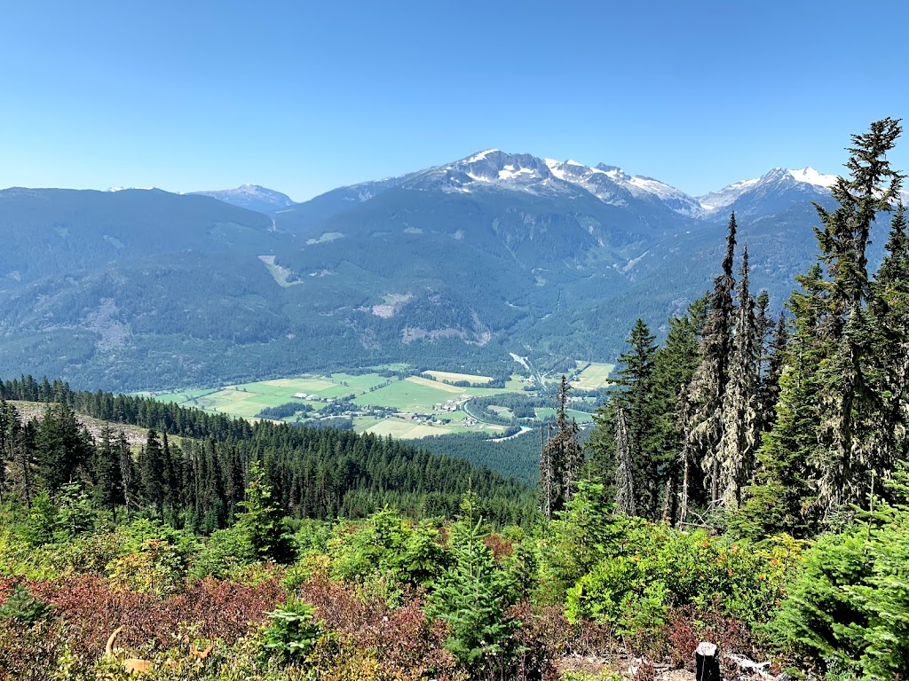 Glacier Lake Logging Co Ltd | Urdal Rd, Pemberton, BC V0N 2L0, Canada | Phone: (604) 894-6849