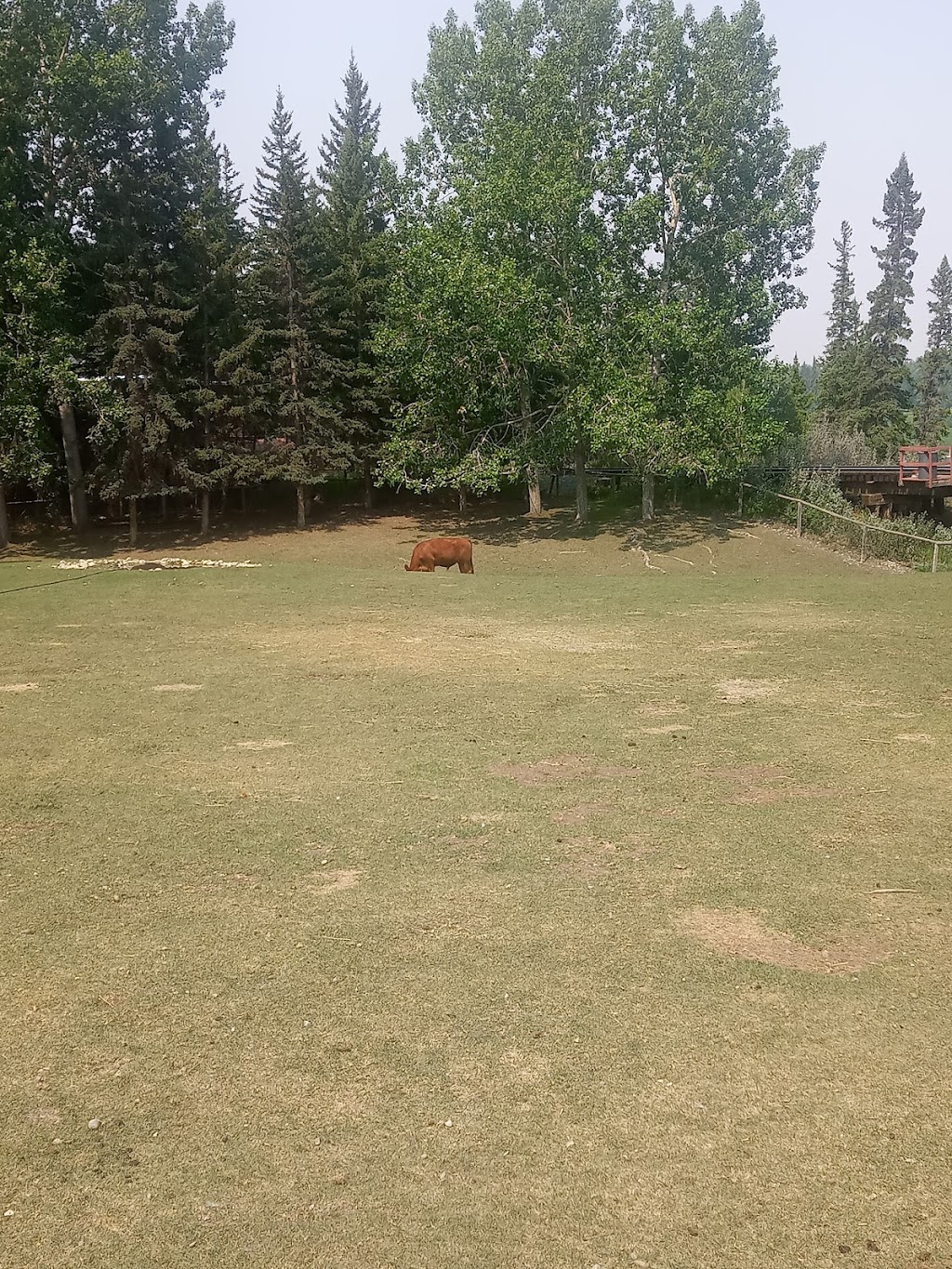 Burnside Ranch House | 84 Heritage Park, Calgary, AB T2V 1R1, Canada | Phone: (403) 268-8500