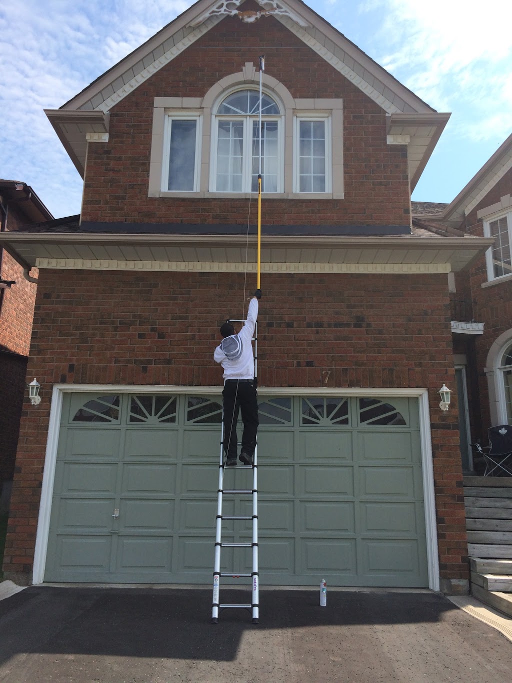 Contact Pest Control | 1955 Victoria Park Ave #10, Scarborough, ON M1R 0C9, Canada | Phone: (647) 709-4856