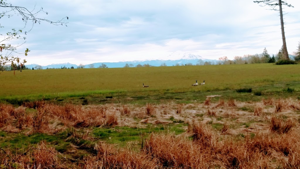 Redemptorist Fathers | 5319 Nootka Loop, Blaine, WA 98230, USA | Phone: (360) 371-3606