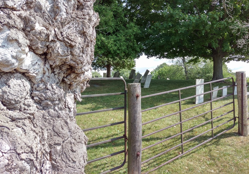 Silverfox Farm | 140 Myrtle Rd W, Ashburn, ON L0B 1A0, Canada | Phone: (905) 925-5236