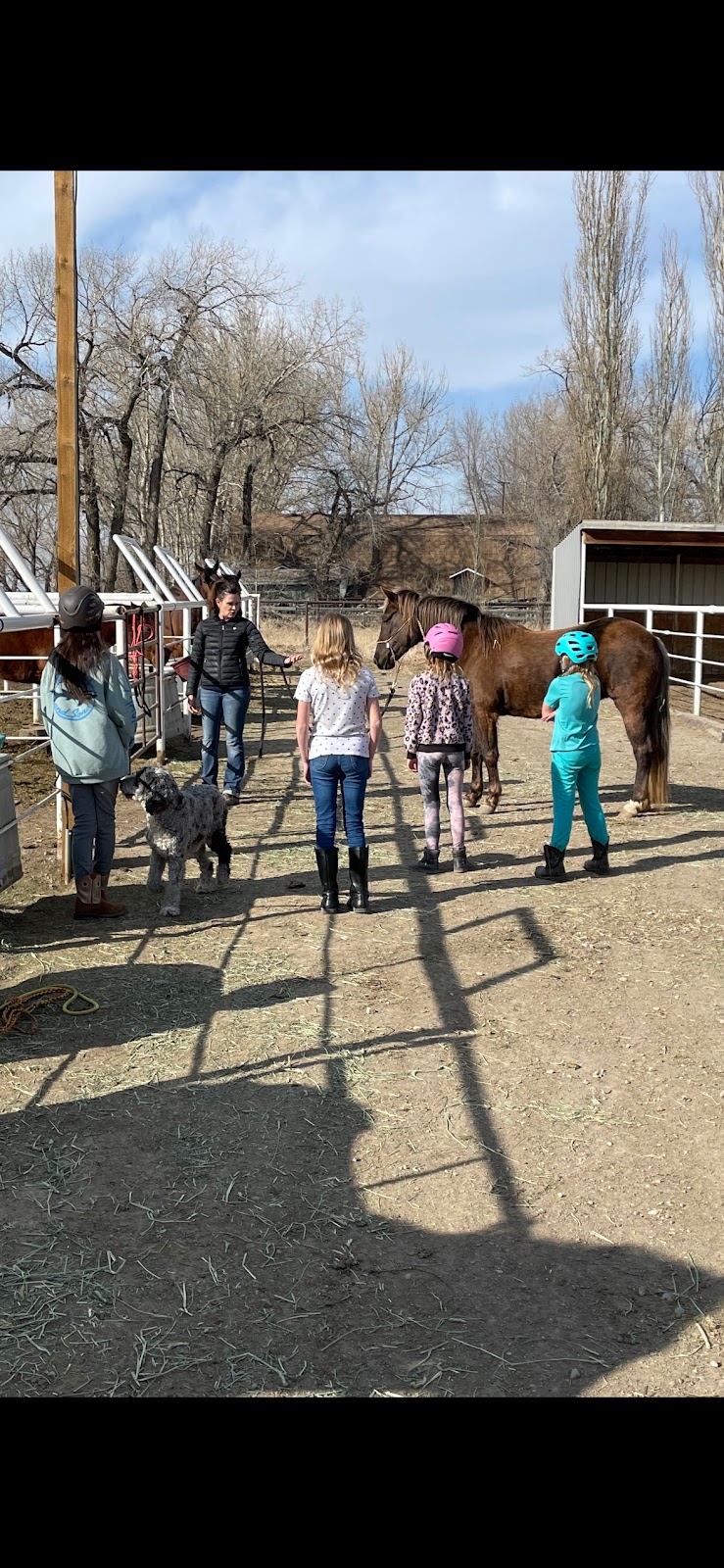 Stone Ridge Equestrian Centre Ltd. | 91075 Range Rd 211, Lethbridge County, AB T1J 5P6, Canada | Phone: (403) 915-3057