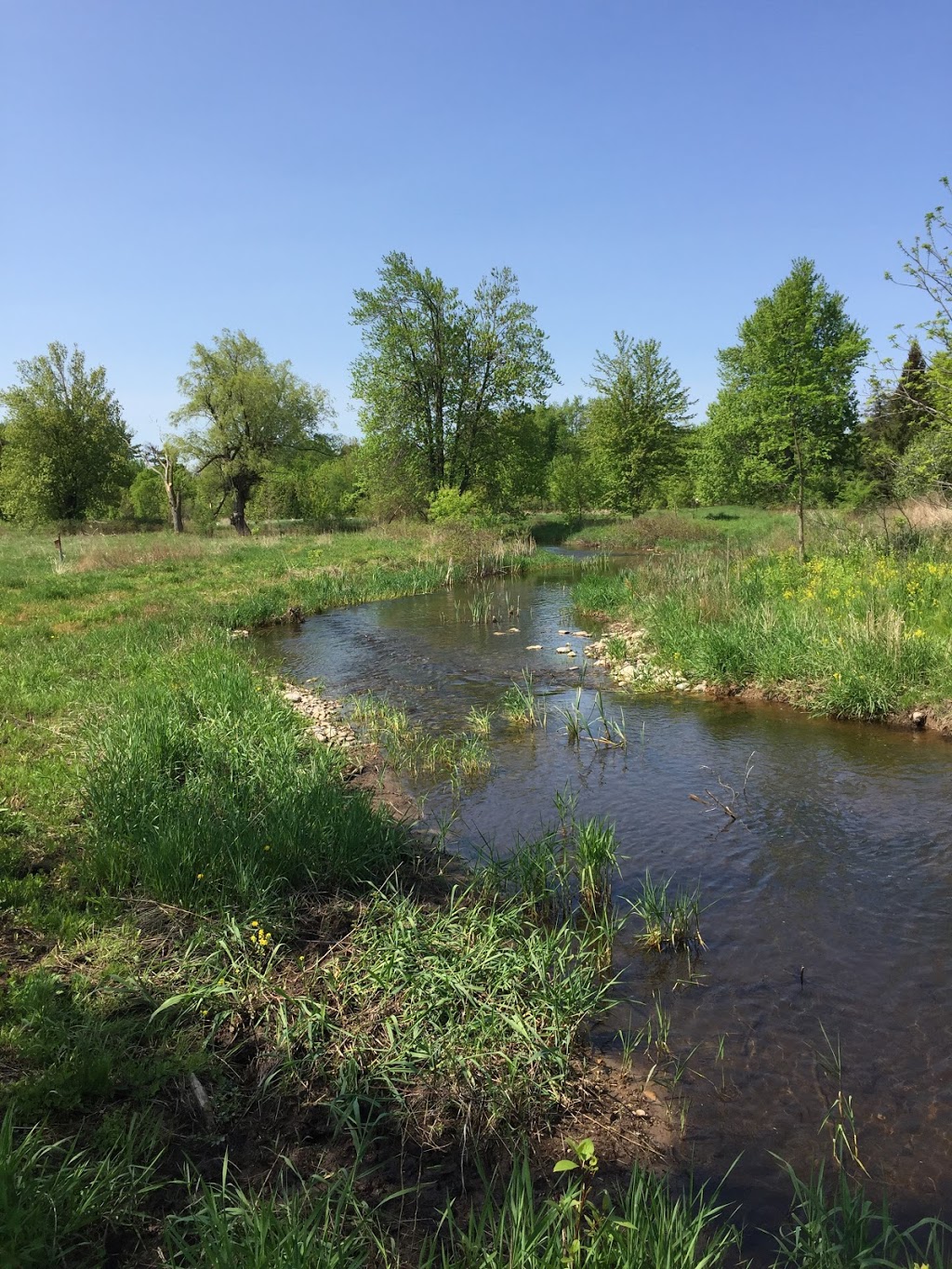 Courtcliffe Park | 159 Carlisle Rd, Carlisle, ON L0R 1H0, Canada