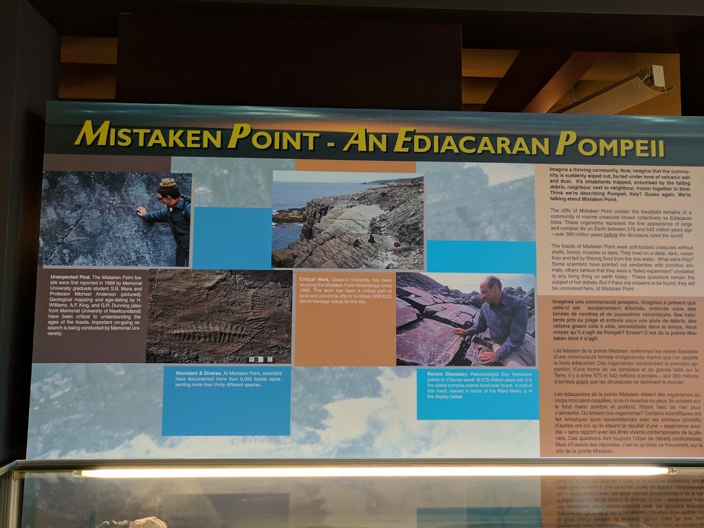 Edge of Avalon Interpretation Centre | NL-10, Portugal Cove South, NL A0A 4B0, Canada | Phone: (709) 438-1100