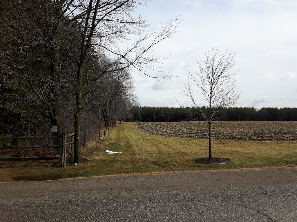 Goodwood Conservation Area | Cedar Valley, ON L0G 1E0, Canada