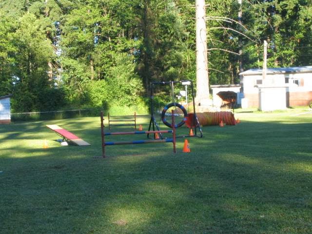 Canine Conduct Training Solutions | 7778 Sturgess Rd, Black Creek, BC V9J 1G7, Canada | Phone: (250) 898-3173