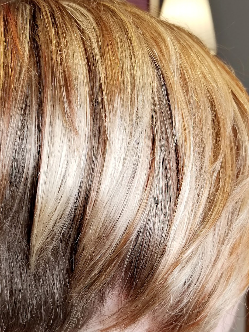 HairRenos.ca | 2296 Badger Crescent Suite 2, Ottawa, ON K2C 1J1, Canada | Phone: (613) 261-5117