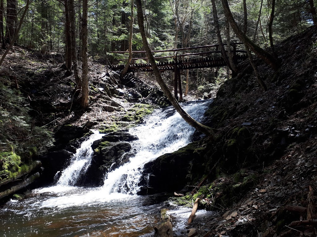 The Wolfville Watershed Nature Preserve | 1351 Forest Hill Rd, Wolfville, NS B4P 2R1, Canada | Phone: (902) 425-5263