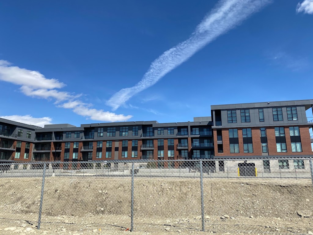 Mulberry | 777 77 St SW, Calgary, AB T3H 6C5, Canada | Phone: (587) 894-3246