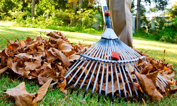 Precision Edge Lawn Service | 900 St Albert Trail, St. Albert, AB T8N 3X9, Canada | Phone: (780) 264-2239