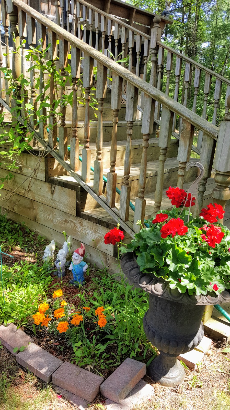 Pinnacle Park Camping | Pinnacle Hill Rd, Grafton, ON K0K 2G0, Canada | Phone: (905) 349-2291