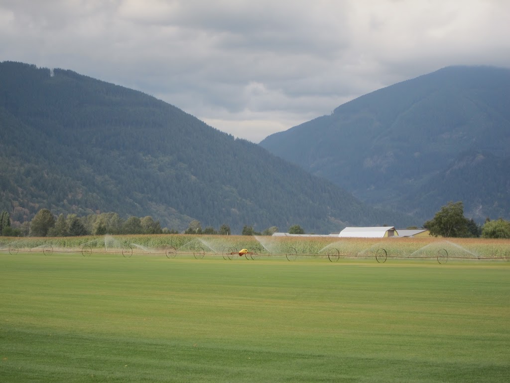 Anderson Sod Farm Ltd. | 36422 Hyde Buker Rd, Dewdney, BC V0M 1H0, Canada | Phone: (604) 826-2383