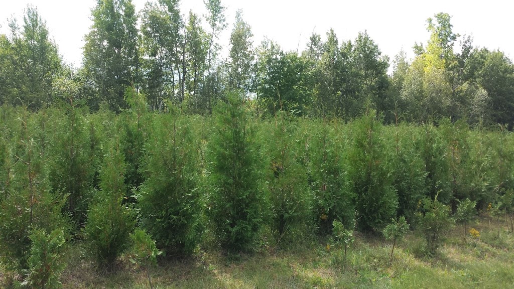 Pépinière Martin Potvin | 1542 Chemin St Louis, Saint-Lazare, QC J7T 1Z1, Canada | Phone: (514) 771-5488