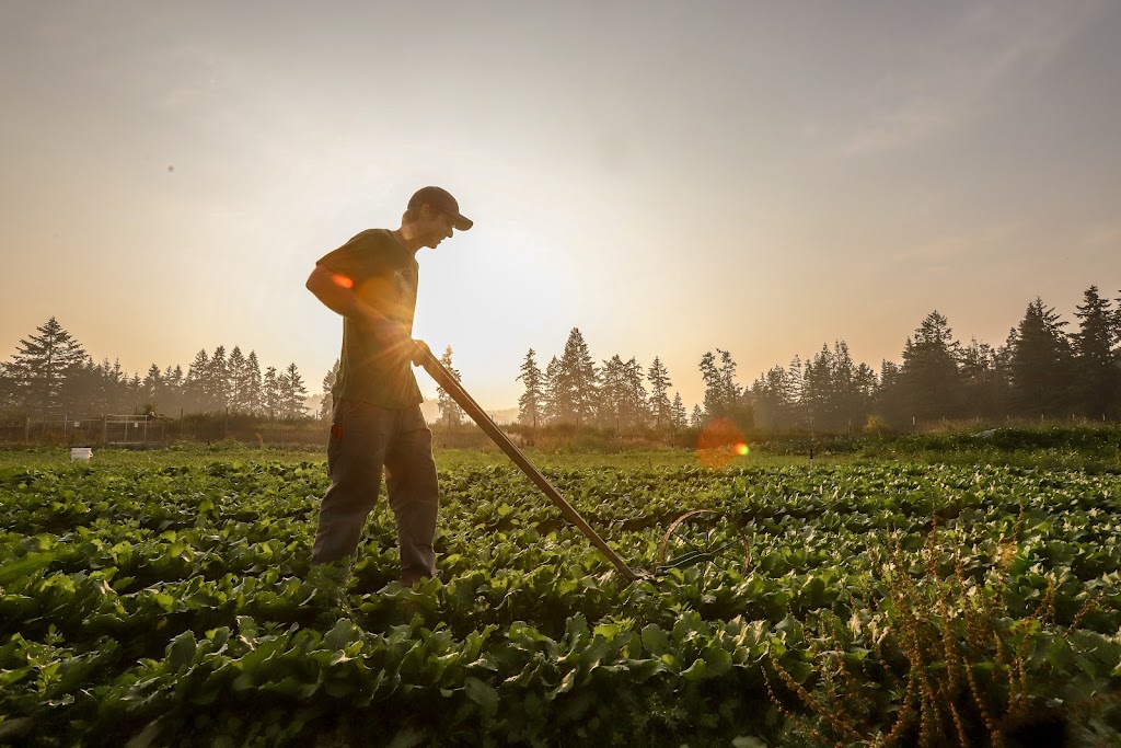 Lockwood Farms | 3805 Cobble Hill Rd, Cobble Hill, BC V0R 1L5, Canada | Phone: (250) 710-4769