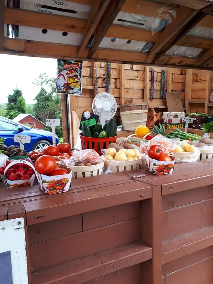 Le Potager de Francoise | 1841 Principale St, Chute-à-Blondeau, ON K0B 1B0, Canada | Phone: (450) 612-4746