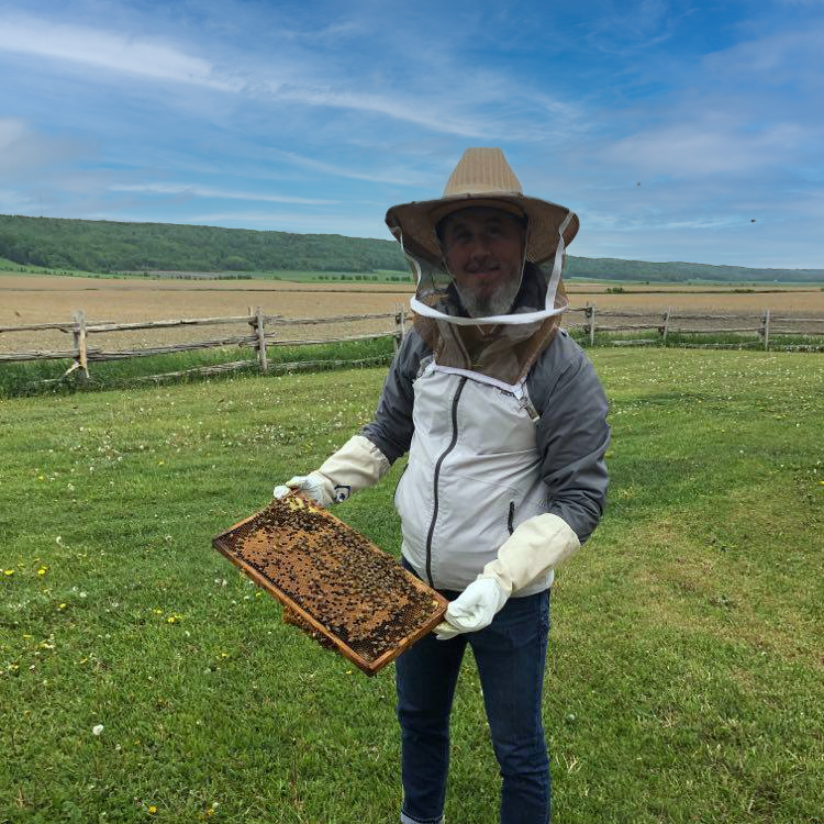 Abeilles du Faubourg | 217 Rte de la Station, Saint-Éloi, QC G0L 2V0, Canada | Phone: (418) 806-8511