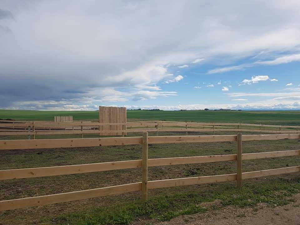 Fantasy Ridge Farms | 21131 Big Hill Springs Rd, Calgary, AB T3R 1K5, Canada | Phone: (403) 485-1655