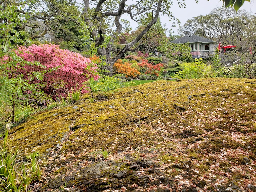 Abkhazi Garden | 1964 Fairfield Rd, Victoria, BC V8S 1H2, Canada | Phone: (778) 265-6466