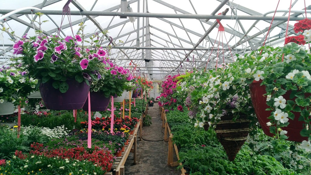 Jardins baie lactee | 1254 Chemin St Joseph, La Baie, QC G7B 3N9, Canada | Phone: (418) 446-1547