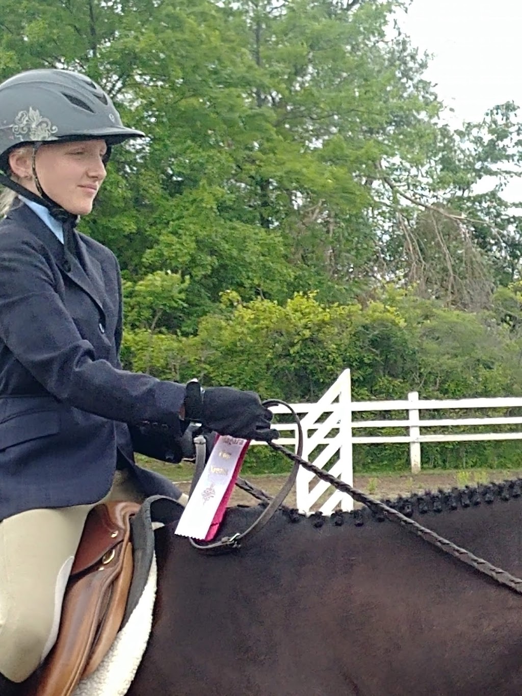 Red Ribbon Stables | 896 RR #4, Concession 6 Rd, Niagara-on-the-Lake, ON L0S 1J0, Canada | Phone: (905) 687-1669