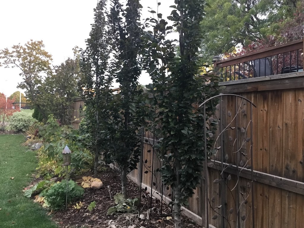 Hutchuks Landscaping & Design | 37 Kawartha Ave, Oshawa, ON L1H 3Y7, Canada | Phone: (905) 243-0508
