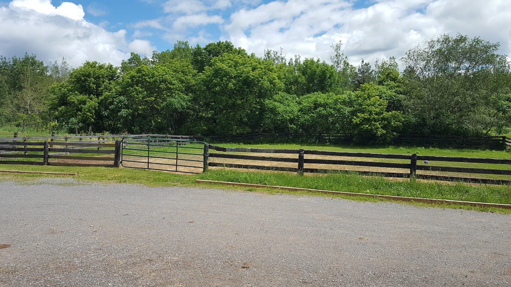 MJ Equestrian | 9998 Garrard Rd, Oshawa, ON L1H 7K4, Canada | Phone: (647) 203-9568