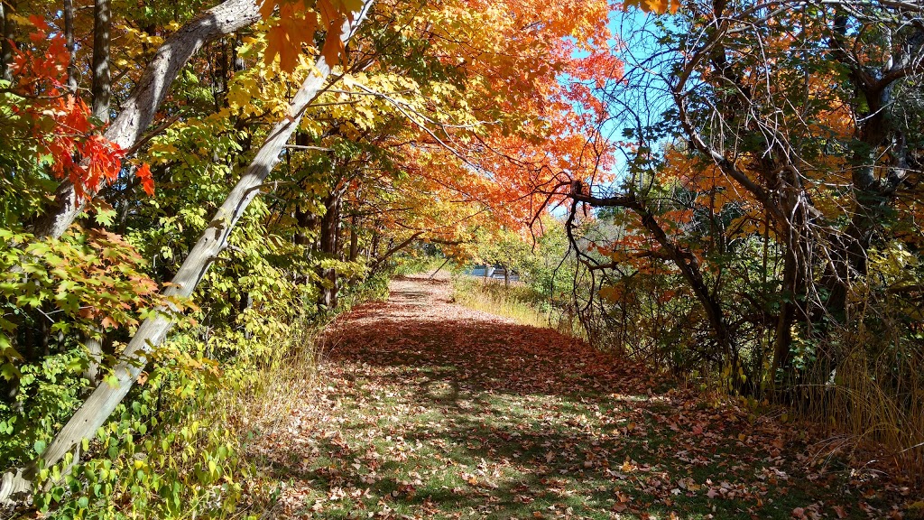 Woodcliff Greenbelt | Woodcliff Greenbelt, Toronto, ON M3B, Canada
