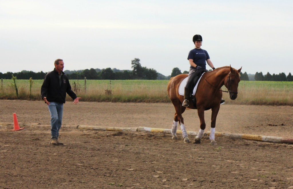 Symphony Stables | 778 County Rd 37, Wheatley, ON N0P 2P0, Canada | Phone: (519) 825-9708