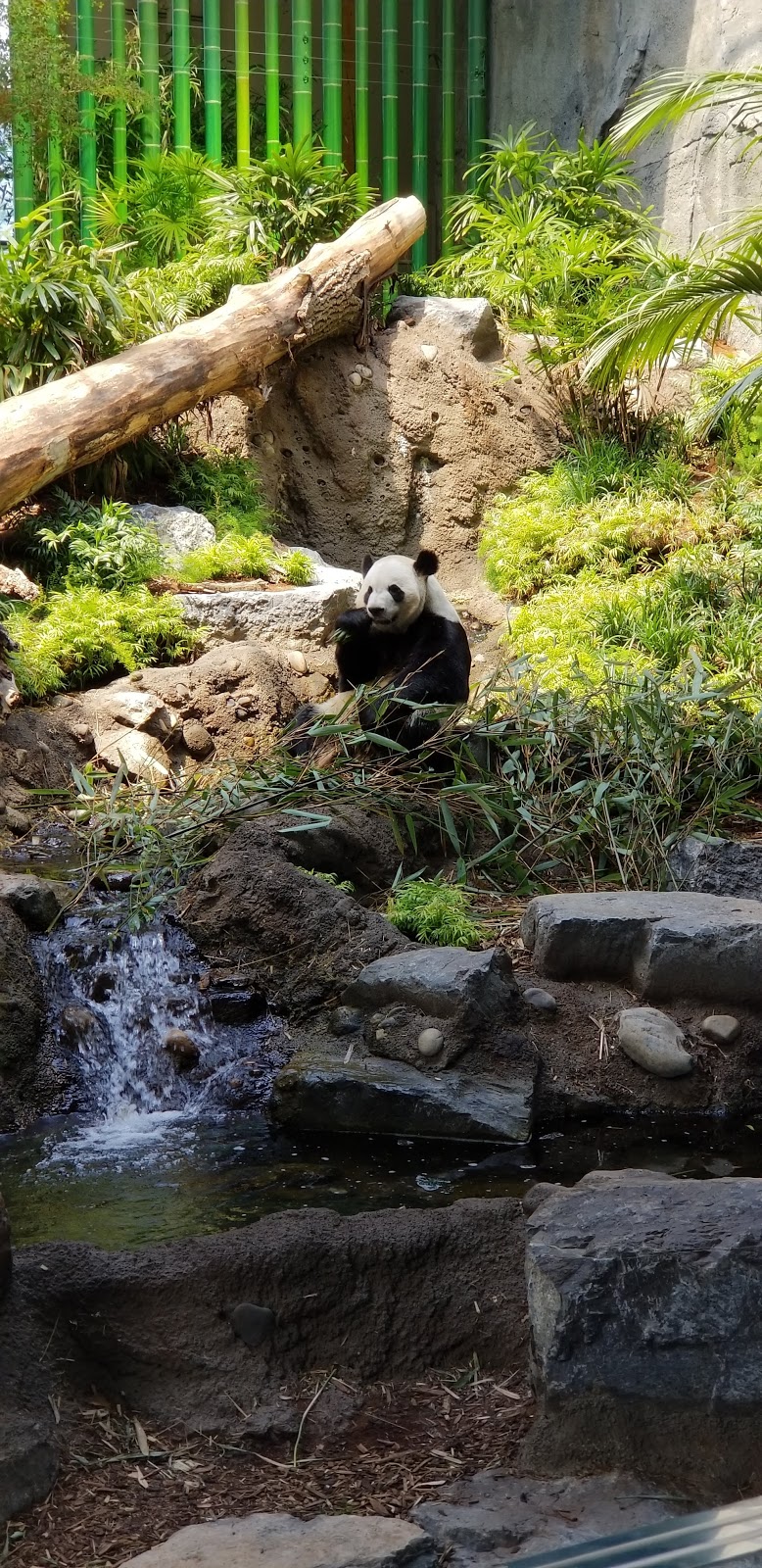 CPA Calgary Zoo - West Lot | 1300 Zoo Rd NE, Calgary, AB T2E 7V6, Canada | Phone: (403) 537-7000