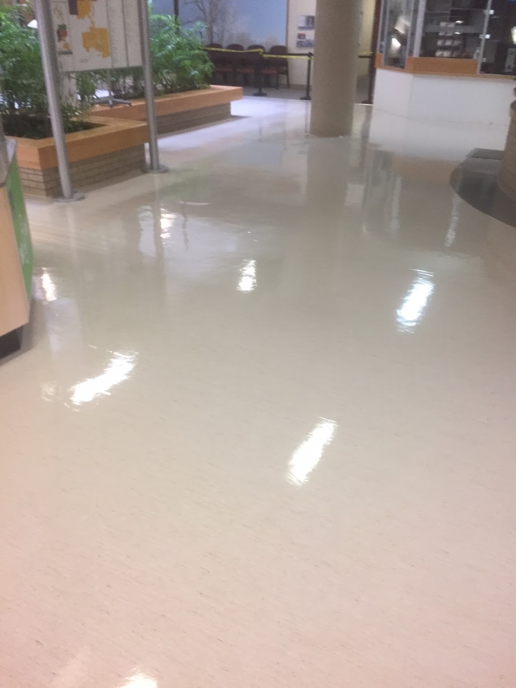 Natural Cleaning Systems | 70 Sunnyside Dr #26, London, ON N5X 3W4, Canada | Phone: (519) 679-8616