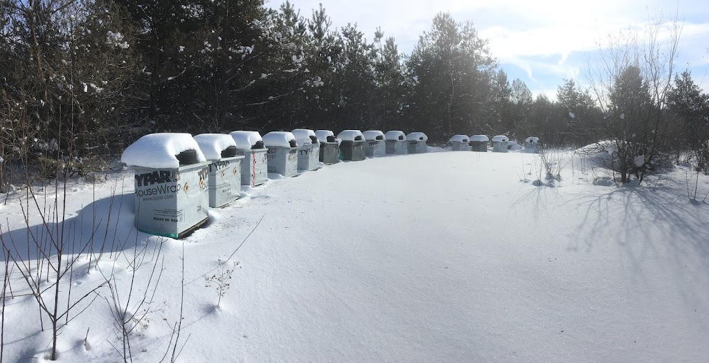 Bonnie Bee honey | 985 concession 18 west, Tiny, ON L9M 0J1, Canada | Phone: (705) 533-3655