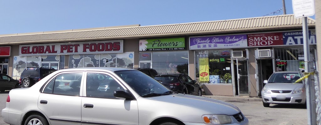 global pet foods pharmacy and ellesmere