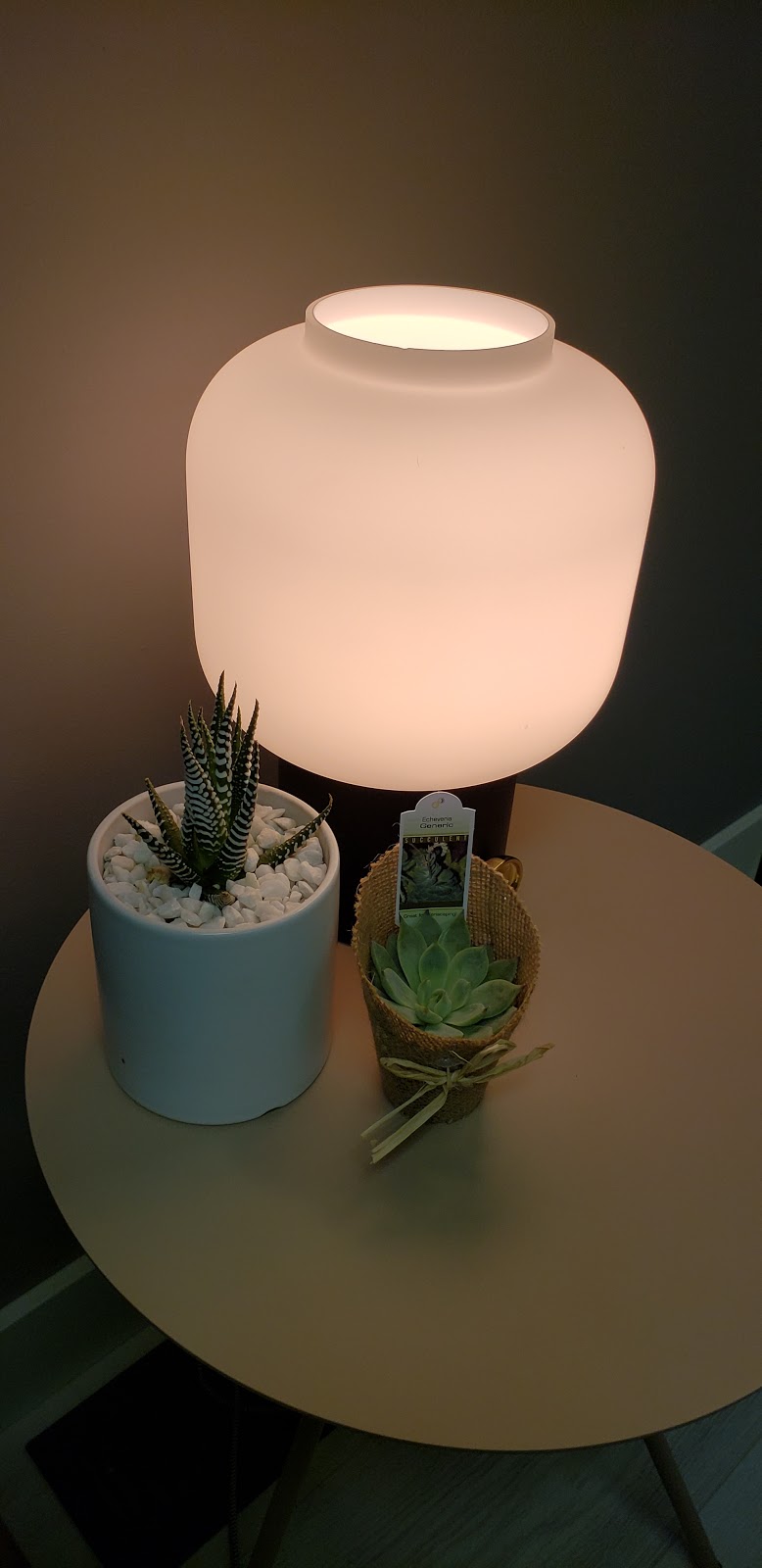 Relax body&mind massage studio | 1755 Capilano Rd #203, North Vancouver, BC V7P 3B5, Canada | Phone: (778) 954-7376