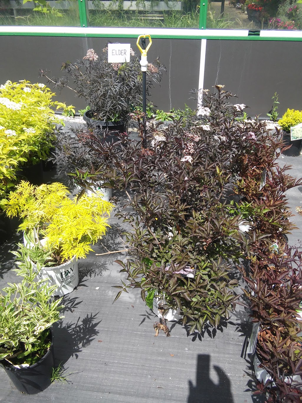 Schriemers Greenhouses & Garden Centre Ltd | 2857 McGregor Farm Rd, Springfield, MB R2E 1E8, Canada | Phone: (204) 668-8357
