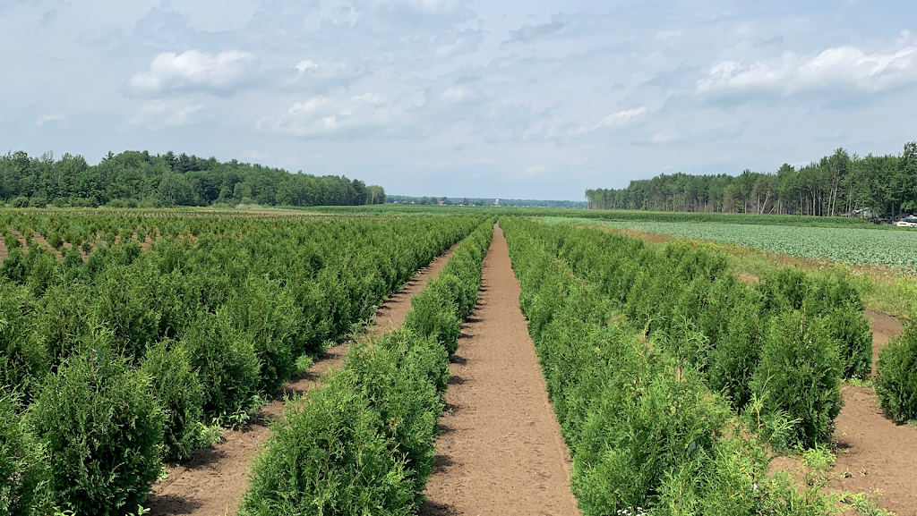 Alain Laviolette Paysagiste | 53 Du, Rue du Timonier, Oka, QC J0N 1E0, Canada | Phone: (514) 838-4333
