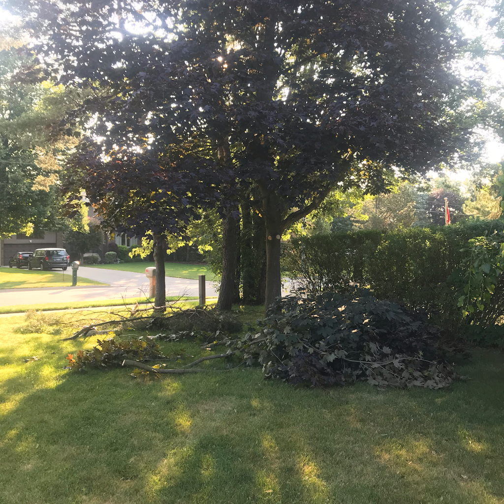 Elite Maintenance | 18 Burnett Ct, Fergus, ON N1M 2W3, Canada | Phone: (519) 803-1399