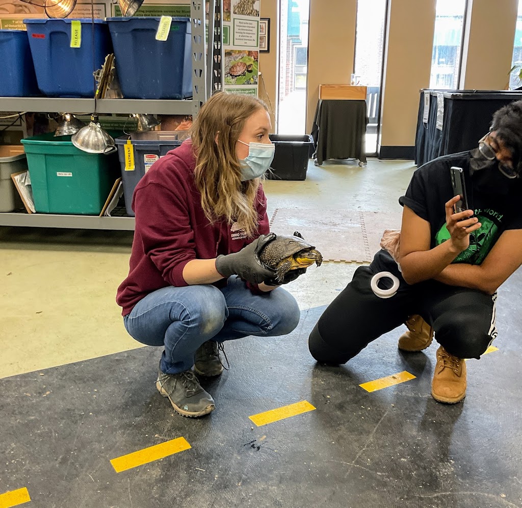 OTCC Turtle Education Centre | 1434 Chemong Rd #4, Peterborough, ON K9J 6X2, Canada | Phone: (705) 741-5000