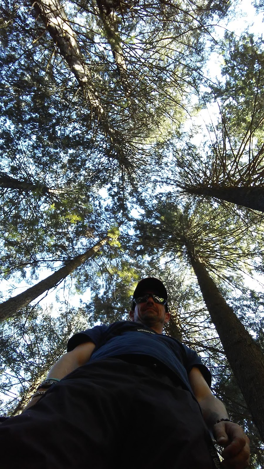 Mundy Park Bike Skills Trail - Beginner Loop | Mariner Way, Coquitlam, BC V3K 1N4, Canada | Phone: (604) 927-3000