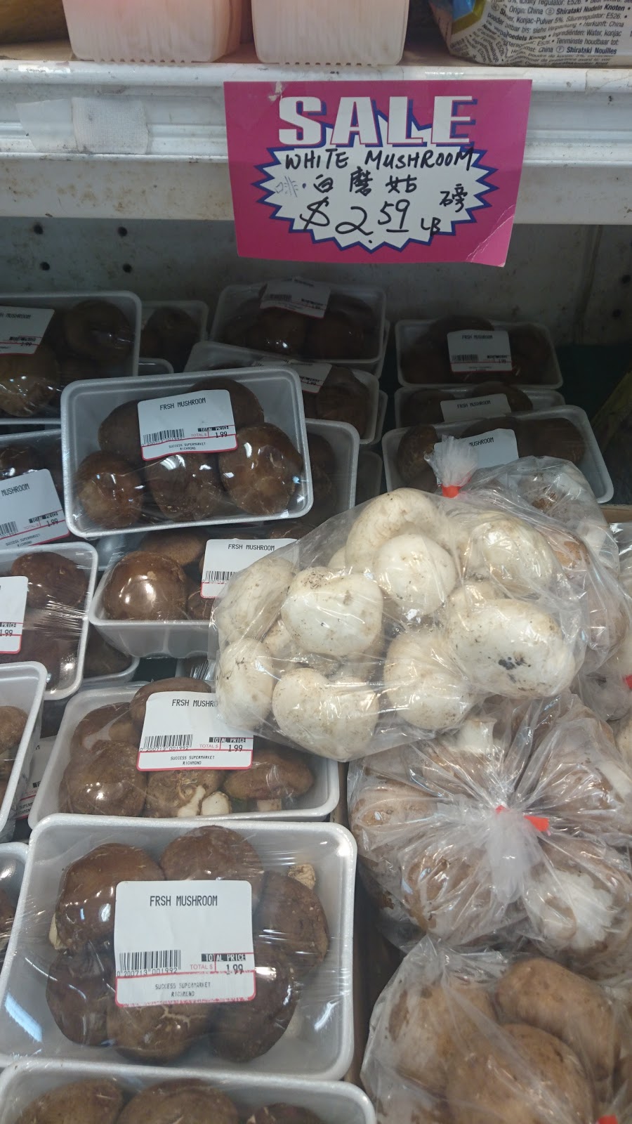Success Supermarket | 8780 Blundell Rd, Richmond, BC V6Y 3Y8, Canada | Phone: (604) 716-3377