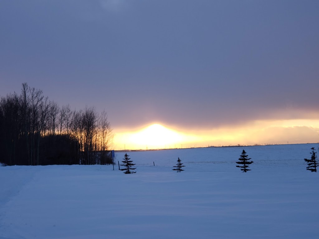 BARELY FARM EQUIPMENT INC. | Alberta T0J 1X0, Canada | Phone: (403) 936-2019