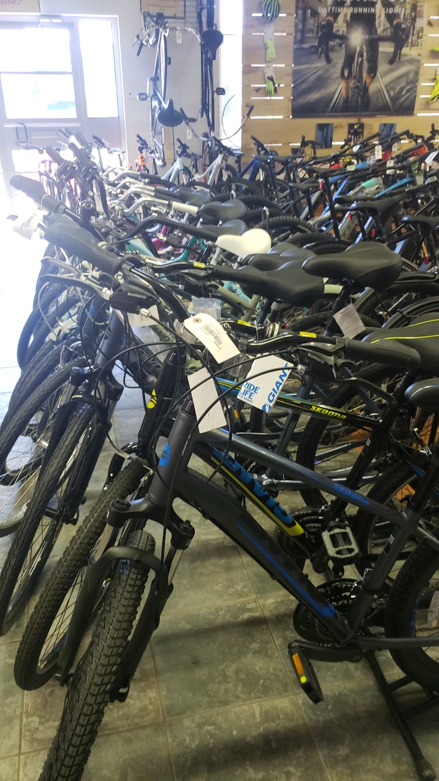 Ambassador Bicycles | 1932 Ambassador Dr, Windsor, ON N9C 3R3, Canada | Phone: (519) 250-6998