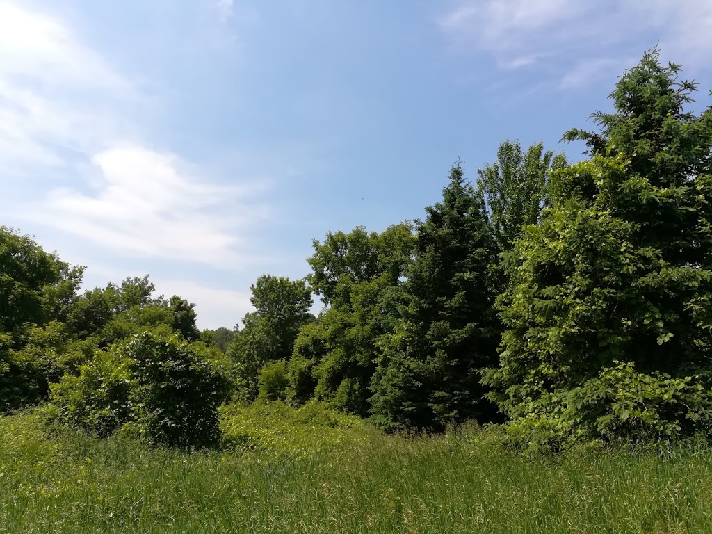 Fprest | 1A6, William Granger Greenway, Woodbridge, ON L4L 1A6, Canada
