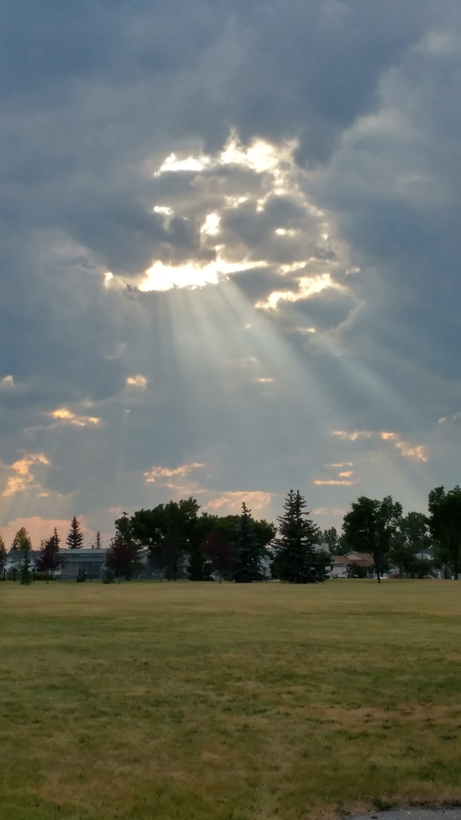 Applewood Park | 31 Appleridge Green SE, Calgary, AB T2A 7R6, Canada | Phone: (403) 268-2489