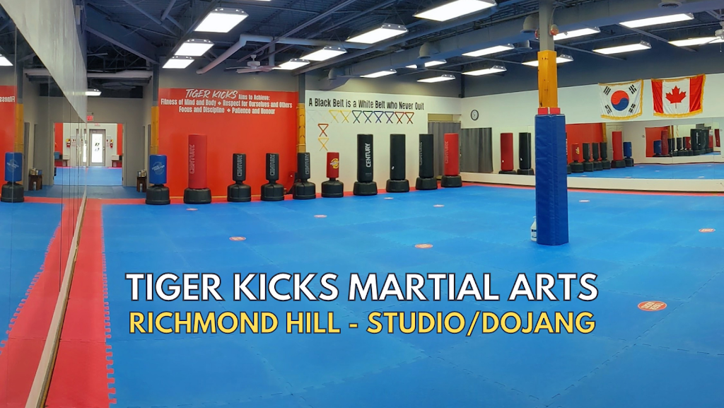 Tiger Kicks Martial Arts | 10815 Bathurst St Unit 9, Richmond Hill, ON L4C 9Y2, Canada | Phone: (416) 909-2184