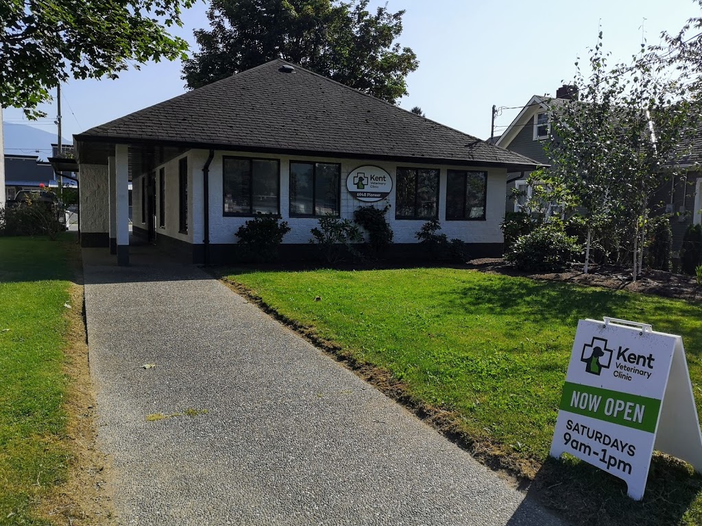 Kent Veterinary Clinic | 6948 Pioneer Ave, Agassiz, BC V0M 1A2, Canada | Phone: (604) 796-9401