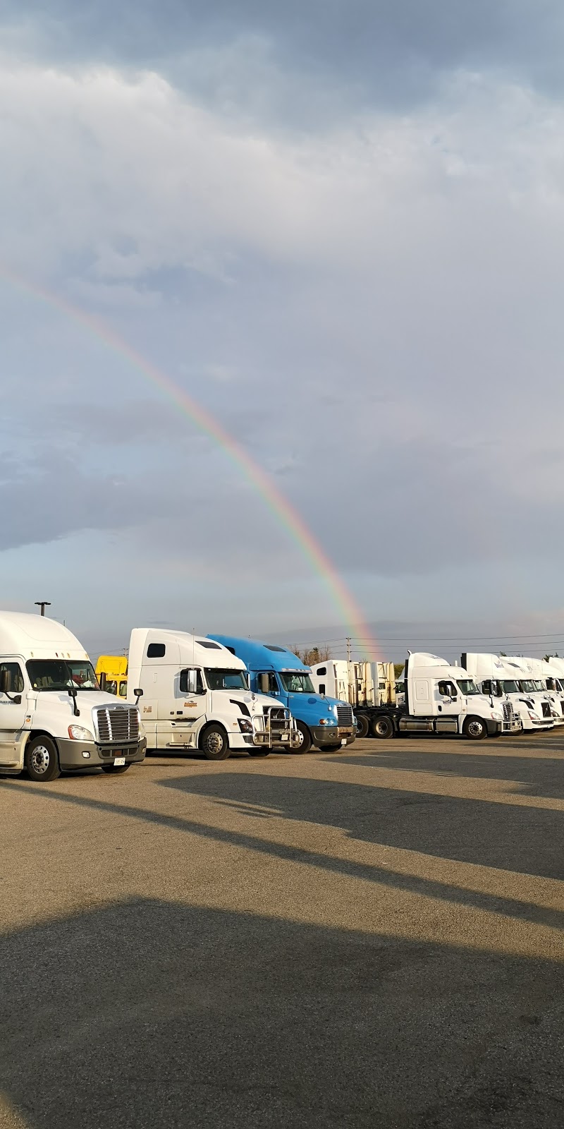 Loblaw - Maple Grove Distribution Center | 1105 Fountain St N, Cambridge, ON N3E 1A2, Canada | Phone: (519) 653-3311
