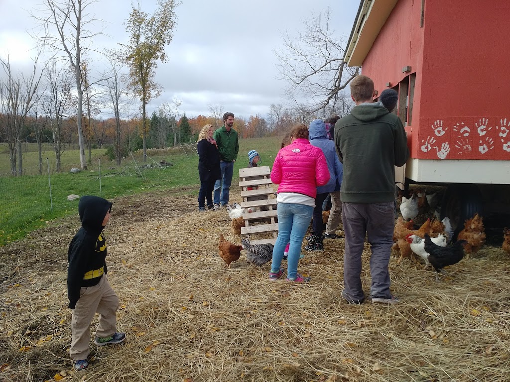 Everdale | 5812 6th Line, Hillsburgh, ON N0B 1Z0, Canada | Phone: (519) 855-4859