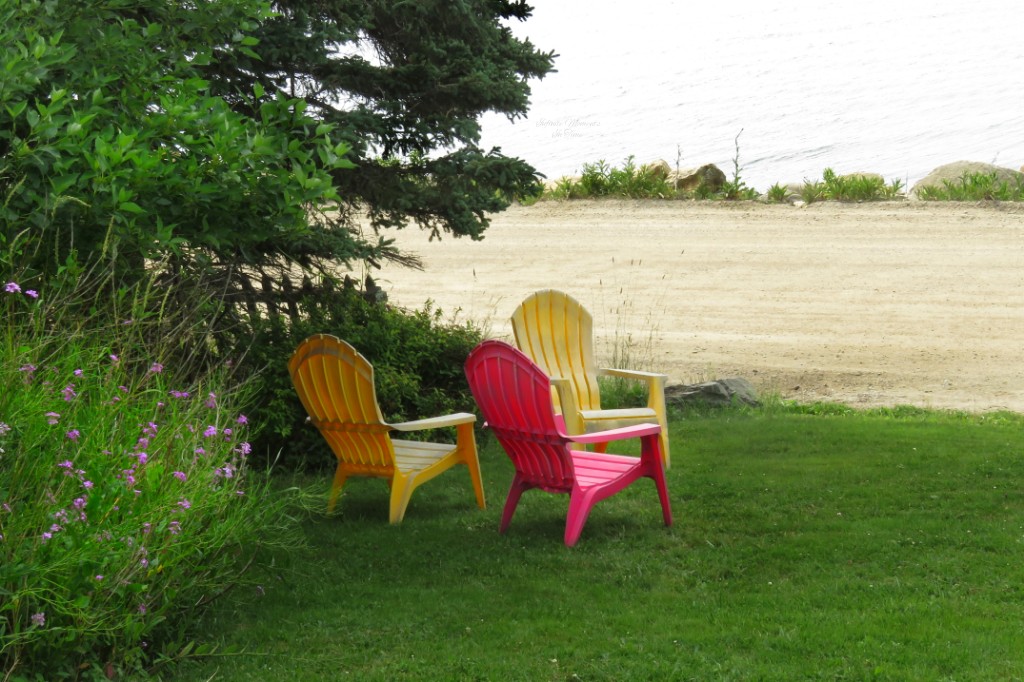 Carolyns Restaurant & Craft | 656 Big Tancook Island Rd, Tancook Island, NS B0J 3G0, Canada | Phone: (902) 228-2749