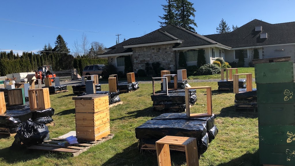 MMY Honeybee Inc | 5553 256 St, Aldergrove, BC V4W 1E7, Canada | Phone: (778) 829-9349